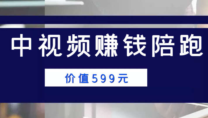 中视频赚钱陪跑，卖中视频账户赚钱收益陪跑项目（价值599元）-一点通资源网