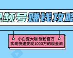 玩转微信视频号赚钱：小白变大咖涨粉百万实现快速变现1000万的现金流-一点通资源网