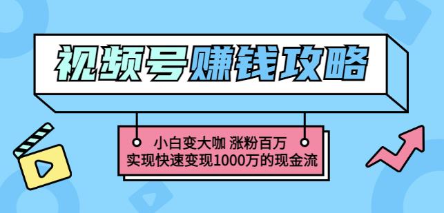 玩转微信视频号赚钱：小白变大咖涨粉百万实现快速变现1000万的现金流-一点通资源网