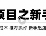 虚拟项目快速起店模式，0成本打造月入几万虚拟店铺！-一点通资源网