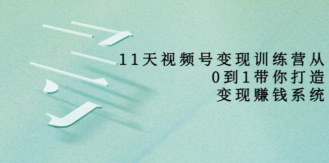 11天视频号变现训练营，从0到1打造变现赚钱系统（价值398元）-一点通资源网