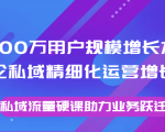 8000万用户规模增长方法论私域精细化运营增长,私域流量硬课助力业务跃迁-一点通资源网