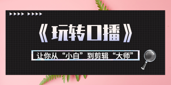 月营业额700万+大佬教您《玩转口播》让你从“小白”到剪辑“大师”-一点通资源网