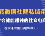 玩转微信社群私域带货,学会就能赚钱的社交电商,在家兼职副业再挣8000+-一点通资源网