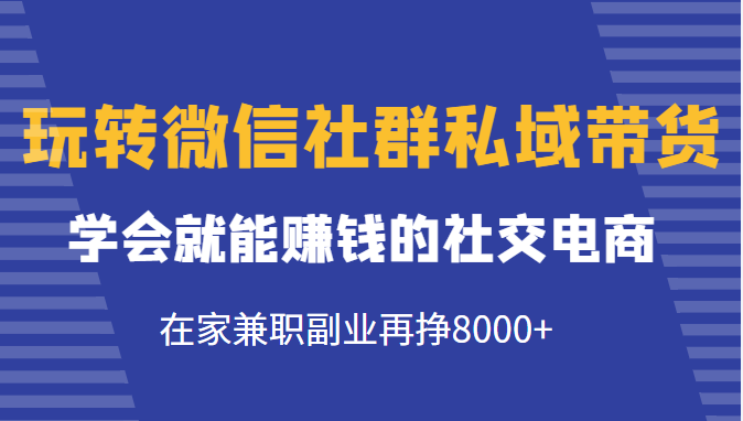 玩转微信社群私域带货，学会就能赚钱的社交电商，在家兼职副业再挣8000+-一点通资源网
