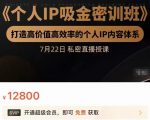 个人IP吸金密训班,打造高价值高效率的个人IP内容体系(价值12800元)-一点通资源网