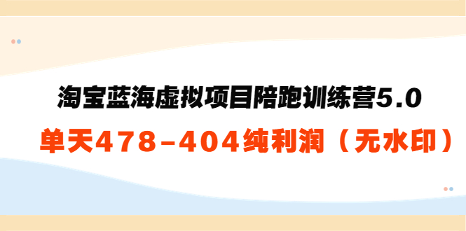 淘宝蓝海虚拟项目陪跑训练营5.0：单天478纯利润-一点通资源网
