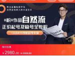 0粉0作品自然流正价起号及稳号全教程,专业自然流起号机构流程化教学(价值2980元)-一点通资源网