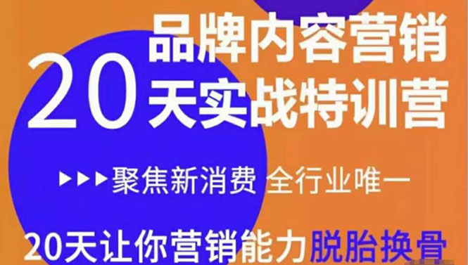 《内容营销实操特训营》20天让你营销能力脱胎换骨（价值3999）-一点通资源网