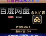 百度网盘无限扩容技术,外面卖399的,无论自己用还是用做引流都可以-一点通资源网