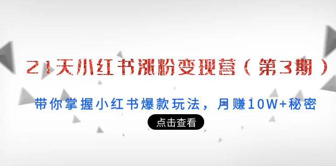 21天小红书涨粉变现营（第3期）：带你掌握小红书爆款玩法，月赚10W+秘密-一点通资源网