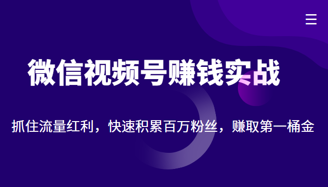 微信视频号赚钱实战：抓住流量红利，快速积累百万粉丝，赚取你的第一桶金-一点通资源网