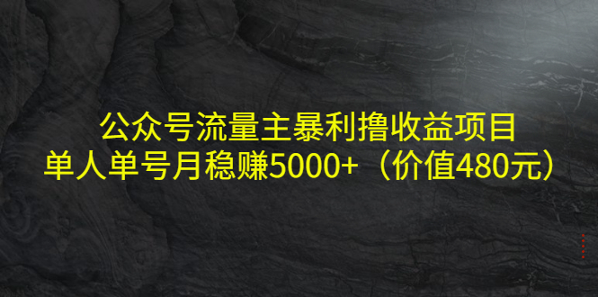 公众号流量主暴利撸收益项目，单人单号月稳赚5000+（价值480元）-一点通资源网