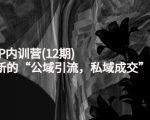 新媒体IP内训营(12期),一套全新的“公域引流,私域成交”IP打法,直接带走-一点通资源网