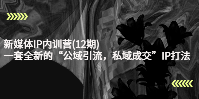 新媒体IP内训营(12期)，一套全新的“公域引流，私域成交”IP打法，直接带走-一点通资源网