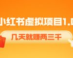 《小红书虚拟项目1.0》账号注册+养号+视频制作+引流+变现,几天就赚两三千-一点通资源网