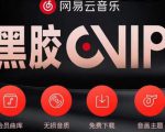 网易云音乐撸黑胶年卡及变现方法,收益可无限放大-一点通资源网