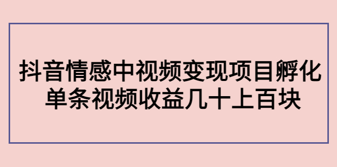 副业孵化营第5期：抖音情感中视频变现项目孵化 单条视频收益几十上百-一点通资源网