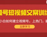 视频号短视频文案训练营:0基础小白如何建立视频号,上热门,能卖货!-一点通资源网