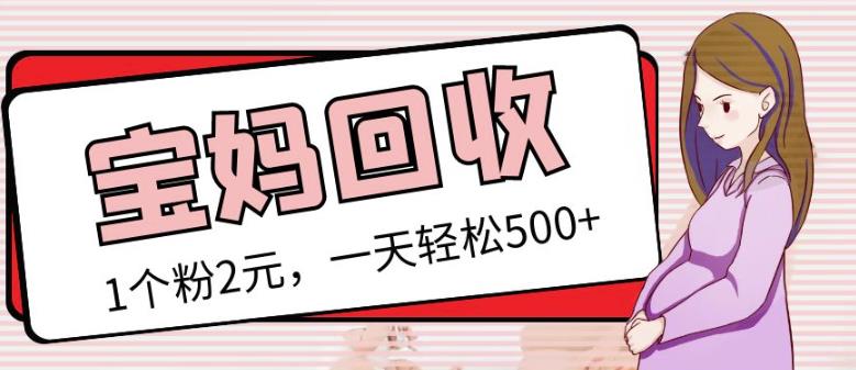 最新小红书母婴号宝妈粉回收项目，1个粉2元，一天轻松500+案例分享【粉丝包回收】-一点通资源网