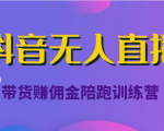 抖音无人直播带货赚佣金陪跑训练营(价值6980元)-一点通资源网