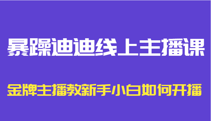 暴躁迪迪线上主播课，金牌主播教新手小白如何开播-一点通资源网