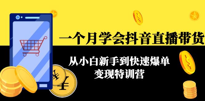 一个月学会抖音直播带货：从小白新手到快速爆单变现特训营(63节课)-一点通资源网