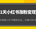 21天小红书涨粉变现营(第4期):带你掌握小红书爆款玩法,月赚10W+秘密-一点通资源网