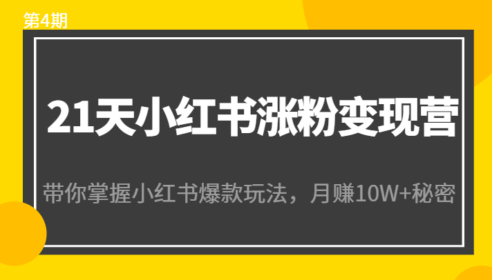 21天小红书涨粉变现营（第4期）：带你掌握小红书爆款玩法，月赚10W+秘密-一点通资源网