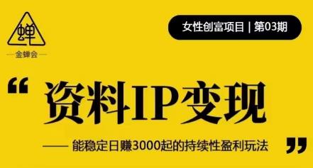资料IP变现，能稳定日赚3000起的持续性盈利玩法-一点通资源网