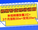 21天视频号变现特训营:单视频播放量2亿+3个月涨粉30w+变现20w+(第14期)-一点通资源网