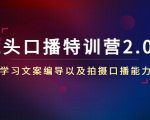 镜头口播特训营2.0版,学习文案编导以及拍摄口播能力(50节课时)-一点通资源网