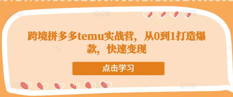 跨境拼多多temu实战营，从0到1打造爆款，快速变现-一点通资源网
