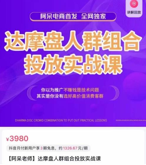 阿呆电商·达摩盘人群组合投放实战课，你以为推广不赚钱是技术问题，其实是你没有选好高价值消费客群-一点通资源网