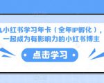 厦九九小红书学习年卡(全年IP孵化),沉浸式学习,一起成为有影响力的小红书博主-一点通资源网