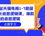 大圣淘宝天猫电商1-7层级盈利增长底层逻辑课,爆款的底层逻辑-一点通资源网