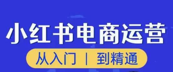 顽石小红书电商高阶运营课程，从入门到精通，玩法流程持续更新-一点通资源网