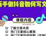 新手做抖音如何写文案，手把手实操如何拆解热门文案-一点通资源网