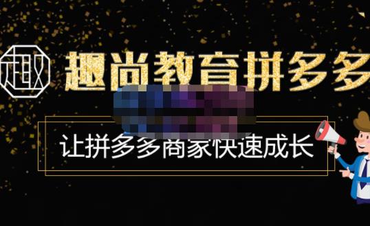 趣尚教育·拼多多运营实操VIP特训营，让拼多多商家快速成长-价值3180元-一点通资源网