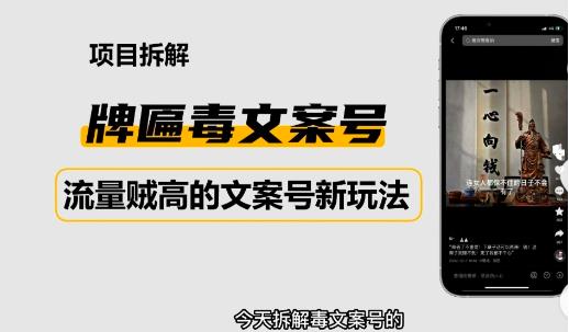 2023抖音快手毒文案新玩法，牌匾文案号，起号快易变现-一点通资源网