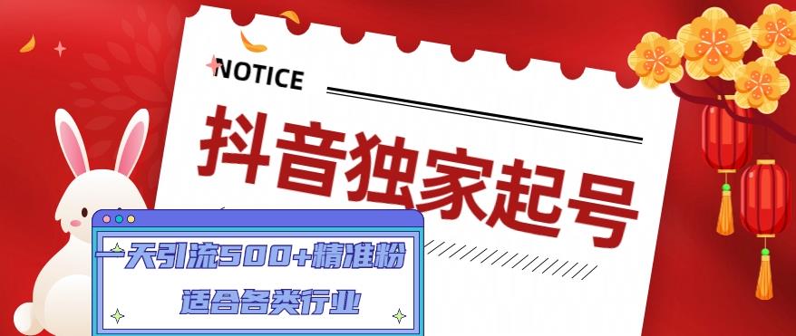 抖音独家起号，一天引流500+精准粉，适合各类行业（9节视频课）-一点通资源网