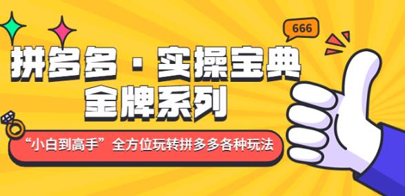 拼多多·实操宝典：金牌系列“小白到高手”带你全方位玩转拼多多各种玩法-一点通资源网
