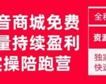 抖音商城搜索持续盈利陪跑成长营,抖音商城搜索从0-1、从1到10的全面解决方案-一点通资源网