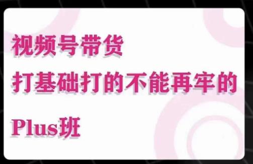 大播汇·视频号带货Puls班，视频号底层逻辑，起号自然流鱼塘等玩法-一点通资源网
