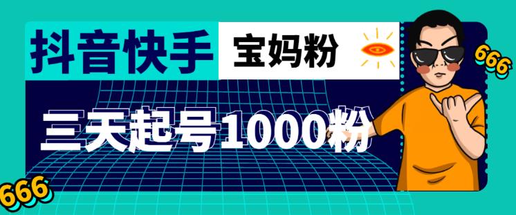 抖音快手三天起号涨粉1000宝妈粉丝的核心方法【详细玩法教程】-一点通资源网