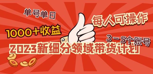 2023新细分领域带货计划：单号单日1000+收益不难，每人可操作3-5个账号-一点通资源网
