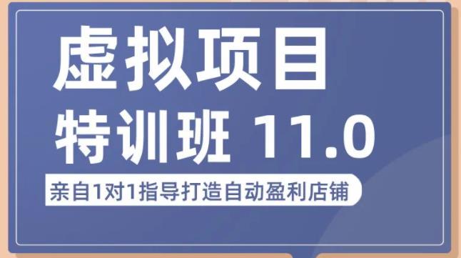陆明明·虚拟项目特训班（10.0+11.0），0成本获取虚拟素材，0基础打造自动盈利店铺-一点通资源网