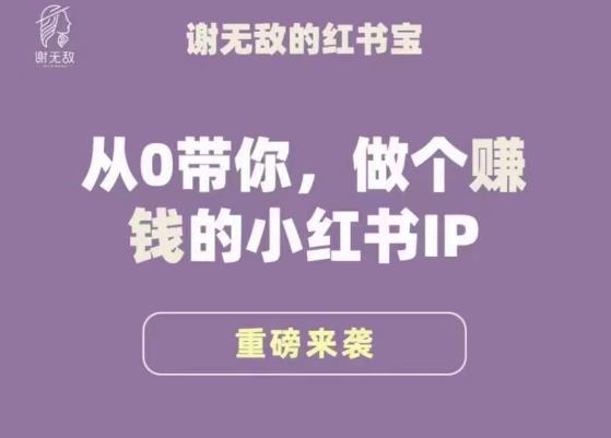 谢无敌·小红书运营大宝典，从0带你做个赚钱的小红书IP-一点通资源网