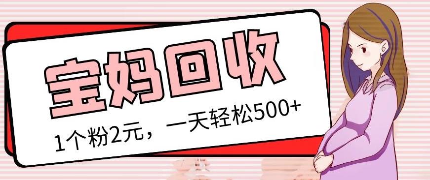 最新宝妈粉回收变现计划及胎教音乐高端变现玩法全套教程！（非老玩法）-一点通资源网