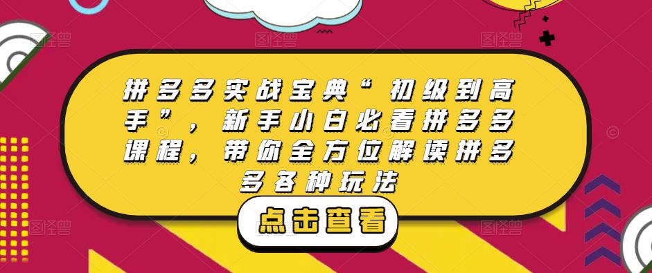 拼多多实战宝典“初级到高手”，新手小白必看拼多多课程，带你全方位解读拼多多各种玩法-一点通资源网
